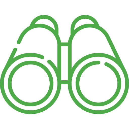 binoculars(1)